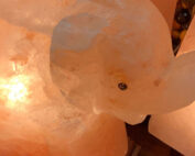elephant salt lamp