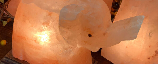 elephant salt lamp