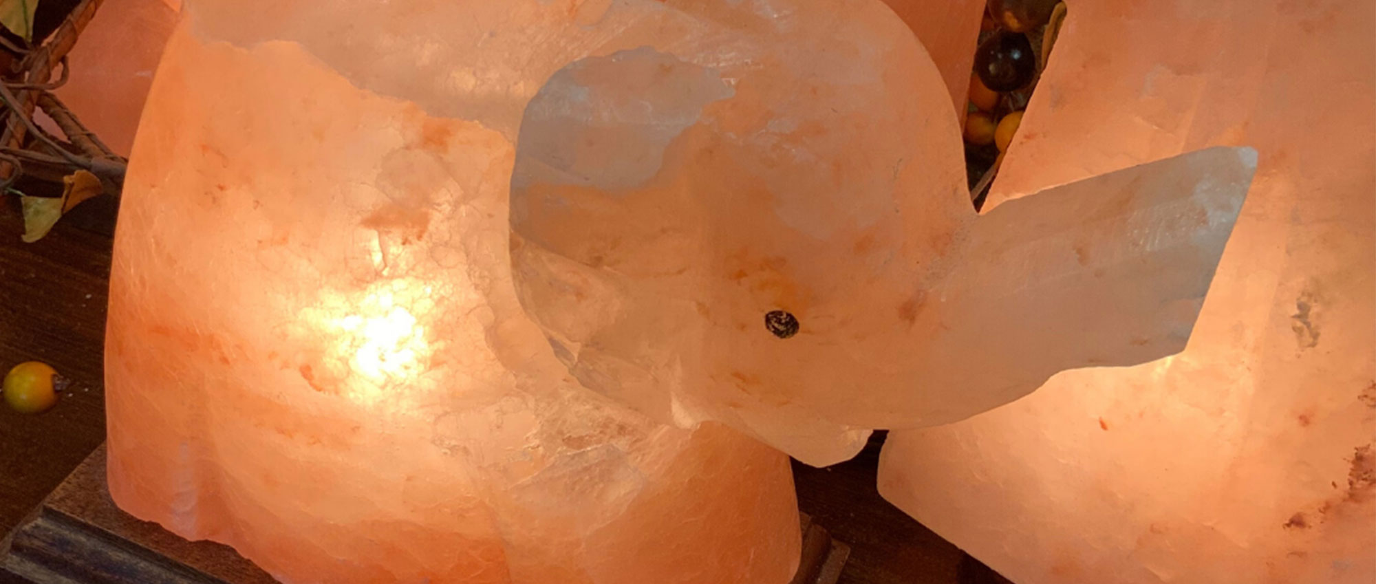 elephant salt lamp