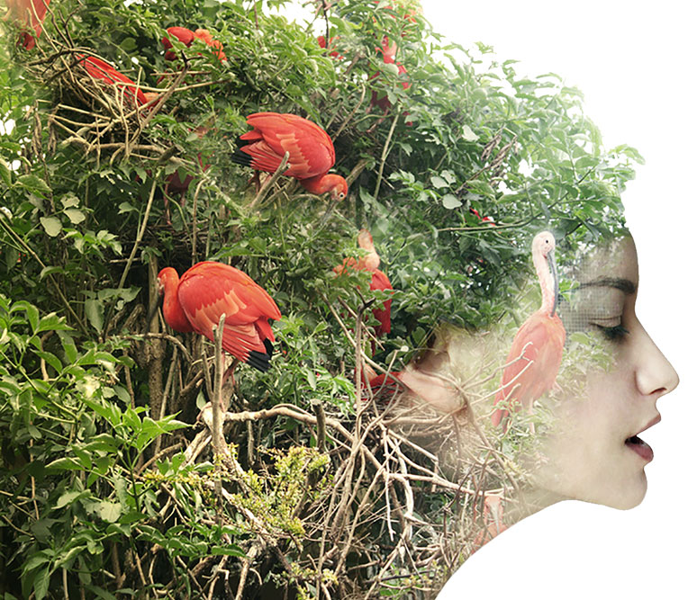 woman with weed for hair with flamingos in it