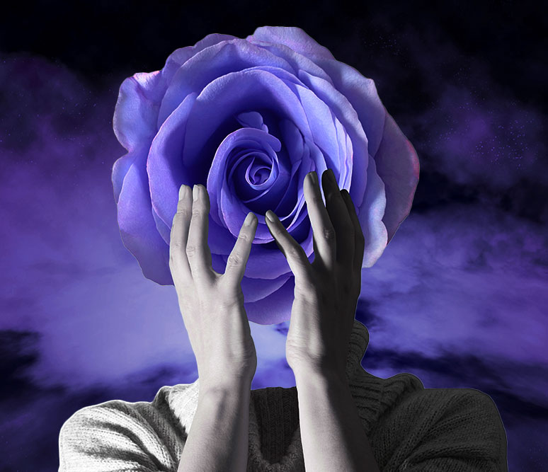 hands holding a flower in place of a head against a purple night sky